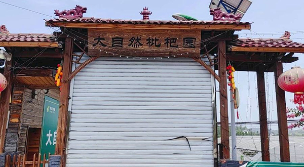 大自然枇杷休闲山庄