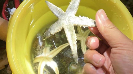 康涛赶海俱乐部第 1 张图片