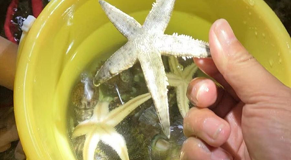 康涛赶海俱乐部