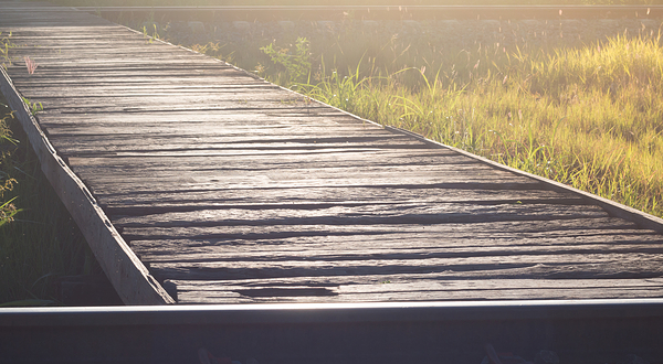 东钱湖下水湿地公园