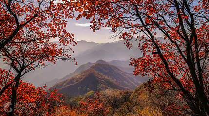 圭峰山第 5 张图片
