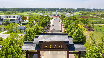 十里荷塘第 1 张图片