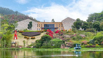 青岚怪臼谷国家地质公园