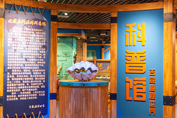 吉安海洋世界第 8 张图片