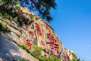 崂山仰口游览区第 68 张图片
