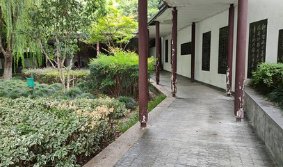 银杏广场第 1 张图片