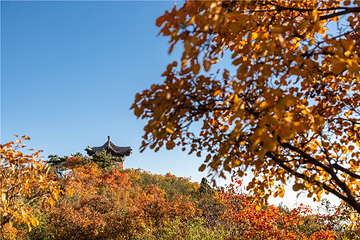 龙山景区第 10 张图片