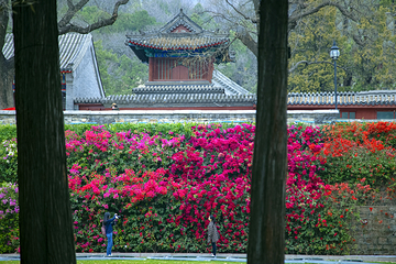 红螺寺第 130 张图片