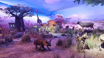 松江园-自然博物馆