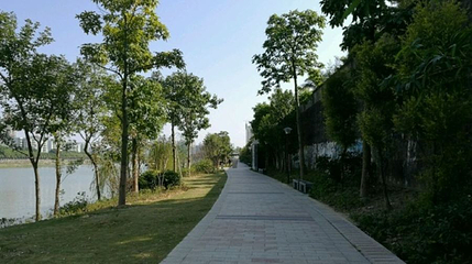 红楼滩公园第 1 张图片