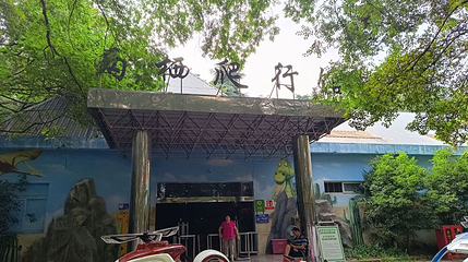 红山森林动物园-两栖爬行馆第 1 张图片
