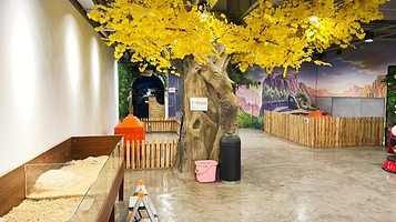 唏喏斯主题动物园