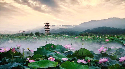 十里荷花第 1 张图片