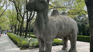 钟山风景区-明孝陵神道南段