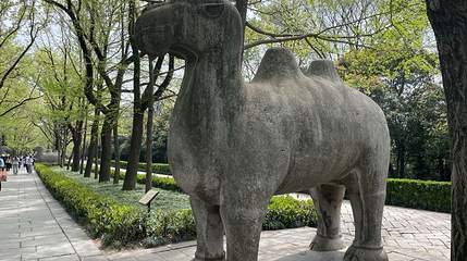 钟山风景区-明孝陵神道南段第 1 张图片