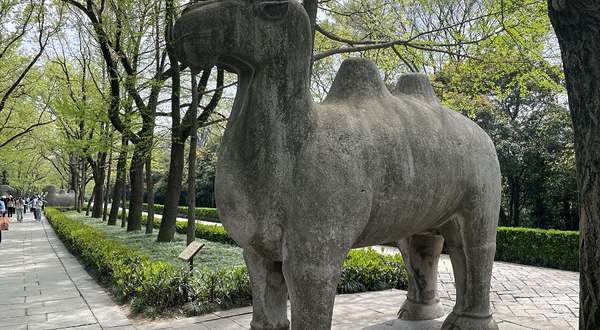 钟山风景区-明孝陵神道南段