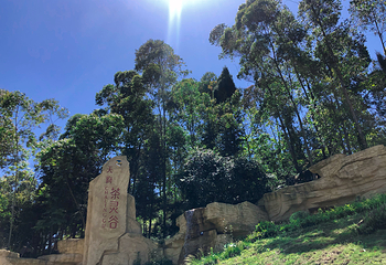 天府茶灵谷度假区第 46 张图片