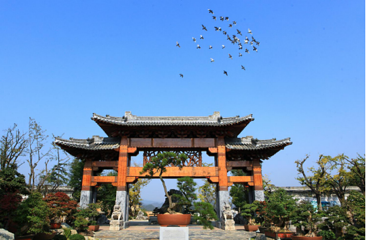 根宫佛国文化旅游区第 8 张图片