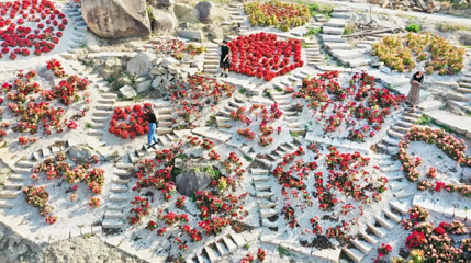 福建石岩植物园第 4 张图片