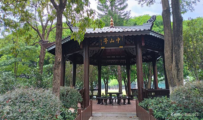 中山公园第 4 张图片