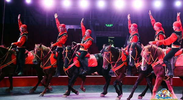 东湖海洋乐园东湖大马戏