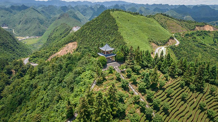 龙云山茶博园第 1 张图片
