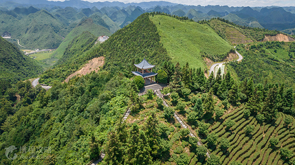 龙云山茶博园第 2 张图片