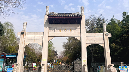 古淮河国家湿地公园第 5 张图片