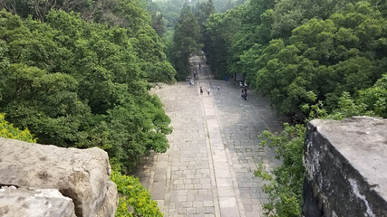 钟山风景名胜区第 238 张图片