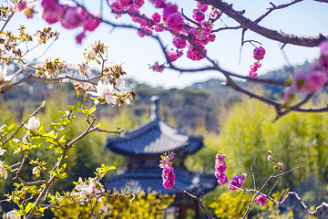 红螺寺第 23 张图片
