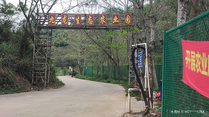 九龙生态园(坪山店)第 1 张图片