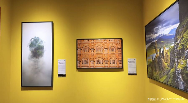 2023国家地理经典影像大展