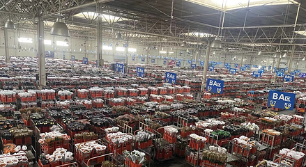 昆明斗南花卉市场第 8 张图片