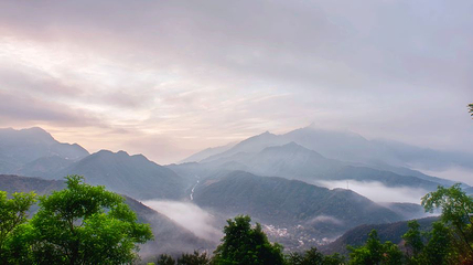 凤凰山第 1 张图片