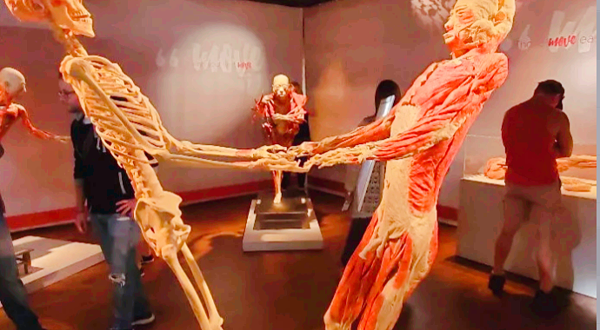 REAL BODIES at Bally's