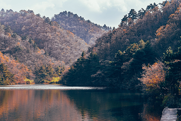 浙江大明山地质公园第 84 张图片