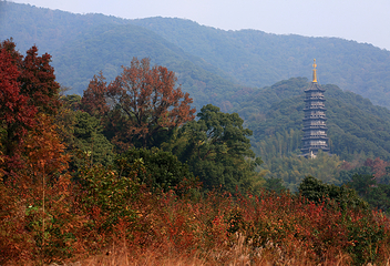 天童禅寺第 4 张图片