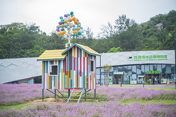 野狸岛第 27 张图片