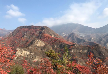 北京药王谷风景区第 21 张图片