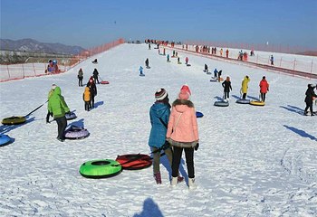 太阳岛冰雪大世界第 17 张图片