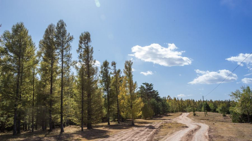 长白山国家森林公园