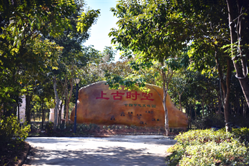 国医小镇第 4 张图片
