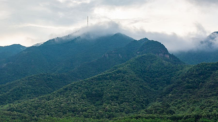北岭山森林公园第 1 张图片