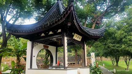 灵岩牡丹园第 1 张图片