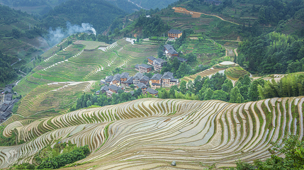 龙脊梯田风景名胜区-古壮寨第 2 张图片