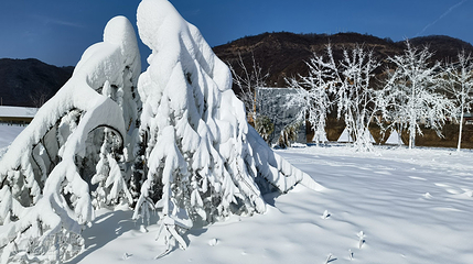 雁岭冰雪公园第 9 张图片