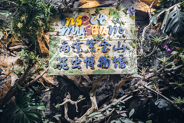 紫金山昆虫博物馆第 15 张图片