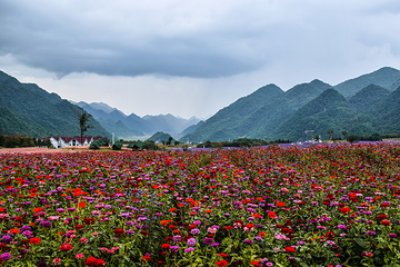 红池坝风景区第 15 张图片