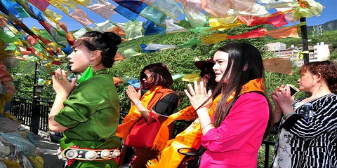 圣地藏家乐第 18 张图片