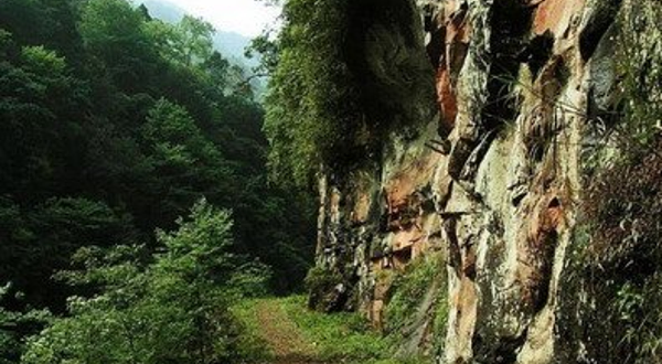 乌龙国家森林公园